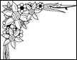 Illustration Design