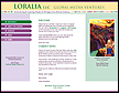 Website Design